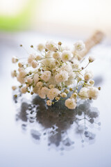 A delicate bouquet of baby's breath flowers with a soft reflection