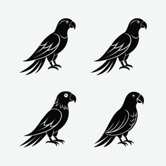 Fototapeta premium Get a premium Parrots Bird Silhouette Vector Bundle! Perfect for t-shirts, posters, cards, and more. Includes AI, EPS, PNG, and SVG formats.