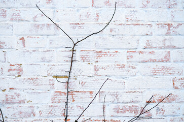 old brick wall