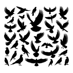 Black and white birds silhouettes set