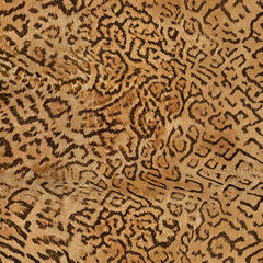 real animal texture print ready textile pattern