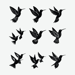 Obraz premium Get a beautiful hummingbird silhouette vector set. Ideal for printing, laser cutting, t-shirt designs, and more. Includes SVG, PNG, AI, and EPS formats.
