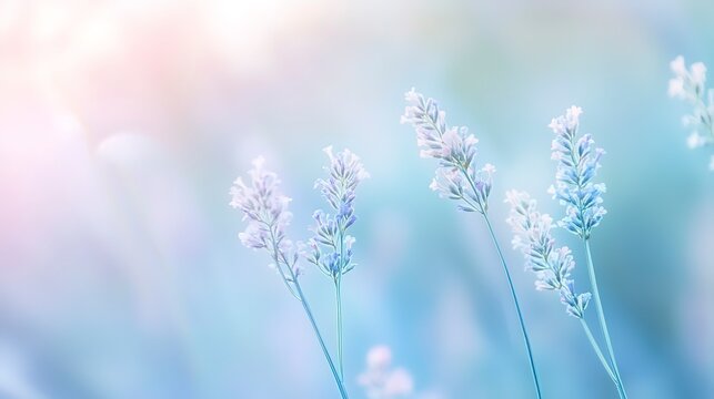 Soft blurred background with gentle pastel blue, lavender, and pink hues, dreamy and calming