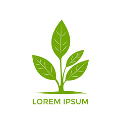 Sprout Logo Isolated White background. Vector Illustration