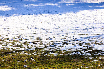 A quiet outdoor scene of a grassy field partially covered with melting snow under winter sunlight. 