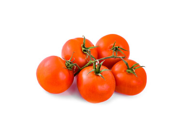 Fresh red tomatoes on a branch on a white background.