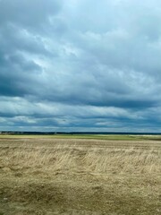 wheat field and blue sky