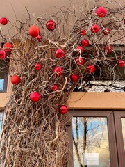 christmas wreath on a wooden door