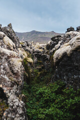 Moss-covered lava field with rugged volcanic rocks in Berserkjahraun, Snæfellsnes Peninsula, West Iceland.
