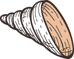 Hand drawn vector illustration of a seashell, featuring intricate details and textures, creating a realistic depiction of a marine treasure