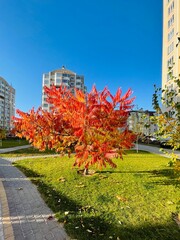 autumn in the city