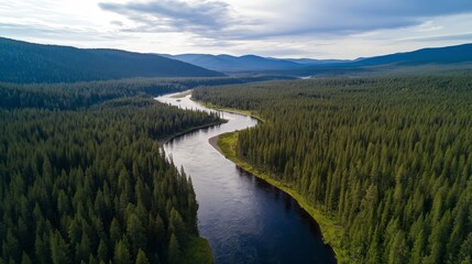 Majestic landscape of a winding river through dense forest in wilderness during early morning light