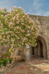 Ancient arch in old town