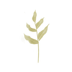 green leaves isolated with watercolor illustration
