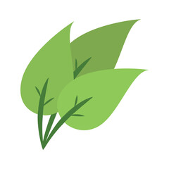 three green leaf vector ilustration
