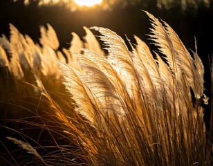 Generated imagTitle: Sunlit Pampas Grass Swaying in the Breeze

