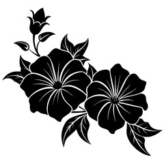 black and white flowers