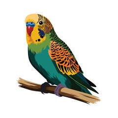 vector portrait of an unmatched pet parakeet with fresh, bold colors and a clean, vibrant design on