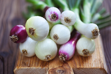 Bunch of fresh onions with greens on a wooden cutting board close up. Food photography
