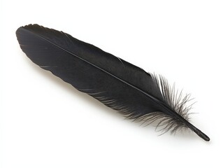 A sleek, black feather with intricate barbs, showcasing nature's elegance and beauty.