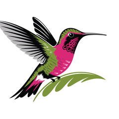vector illustration of a single hummingbird. The hummingbird is rendered with big, bold strokes and a lively color palette, in a clean style. The hummingbird is perched on a branch