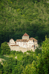 Fototapeta premium old royal medieval castle in the mountains swiss alps with green forest around in summer in smallest country in europe