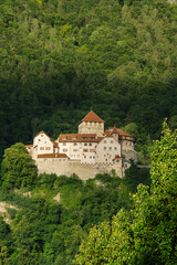 Fototapeta premium old royal medieval castle in the mountains swiss alps with green forest around in summer in smallest country in europe
