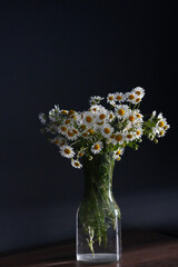 Beautiful Bouquet of field daisies in a glass vase on a dark background.