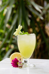Refreshing citrus cocktail with mint and a melon garnish in a glass