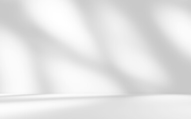 Empty white room studio with leaves shadow overlay effect for product presentation display. Cosmetic beauty fashion showroom. Morning sunlight through the window. Minimal Mock up interior background.