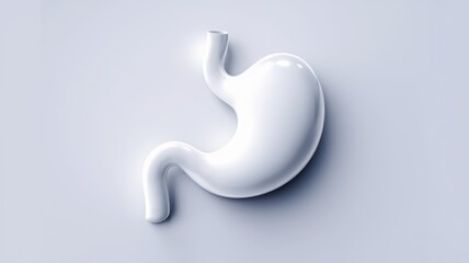 Fototapeta premium minimalist white human stomach illustration on a light background