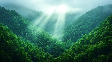 Obraz premium Soft clouds draped over a misty mountain valley, with the first rays of sunlight breaking through the fog.