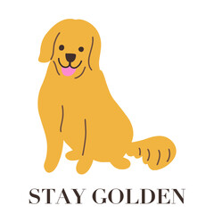 Stay golden golden retriever puppy