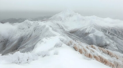 Snowy mountain range, winter landscape, serene view, frosted plants