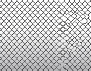 Fototapeta premium steel wire chain link fence pattern metal lattice with diamond shaped silhouette grid mesh background ideal for prison or security textures illustration on a white background