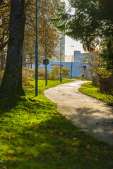 winding paved path through sunlit park.