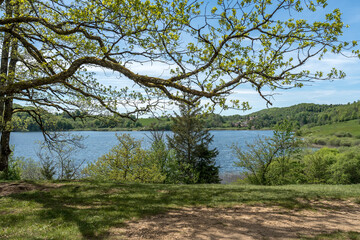 Obraz premium Lac de Narlay ,Paysage de Lac dans le Jura au printemps , Bonlieu , France