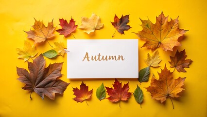 autumn leaves on a white