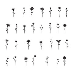 flower-icons-flower-silhouettes-symbol-of-floral-desi Web