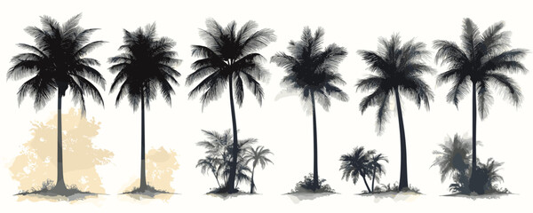 Flat vector icons set of palm trees in various silhouettes with tropical style.