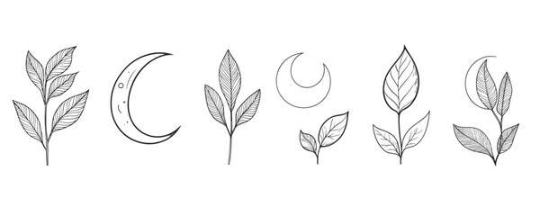Elegant linear icons set with leaves and moons in flat vector style.