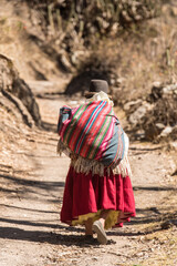 aymara woman with traditional clothes walking uphill carrying goods in her back in Bolivia in the andes mountain range town charazani