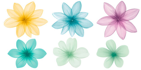 Obraz premium Set of six watercolor floral designs in yellow, blue, pink, and green tones. Hand-painted botanical illustration isolated on transparent background for decoration and design