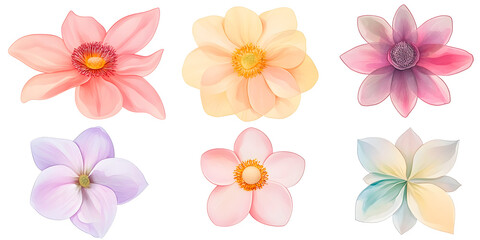 Obraz premium Set of six watercolor flowers in soft pastel shades. Hand-painted floral illustration isolated on transparent background for botanical and decorative design