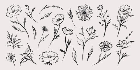 Flower abstract hand drawn brush ink or chalk stroke. Floral sketch doodle elements, simple blossom grunge outlines. Vector minimalistic blossom symbols set © Екатерина Заносиенко