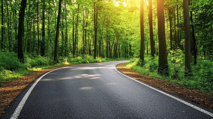 Obraz premium Empty asphalt road winding through green forest