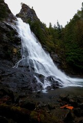 Fototapeta premium Flowing Waterfall Surrounded by Nature
