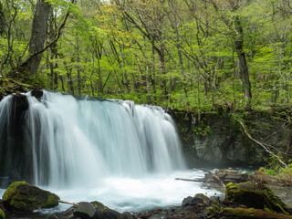 奥入瀬渓流の銚子大滝