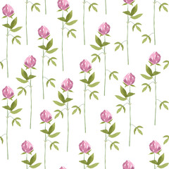 Seamless pattern of watercolor hand drawn clovers vertical on white background. Hand paint floral illustration of lucky flowers.