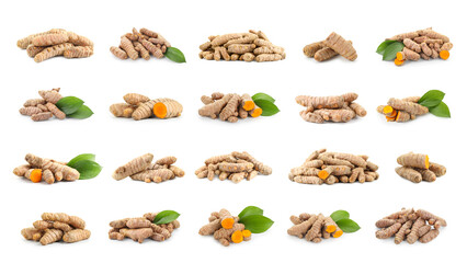 Set of turmeric roots isolated on white